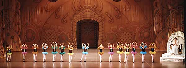 �L�����f�B�[�E�{���{��