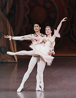 �������̐��Ɖ��q